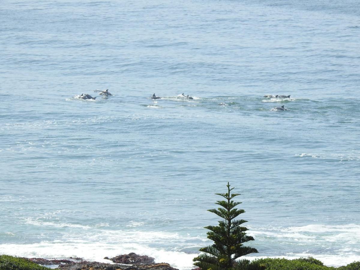 Apartamento Surfstar At Mimosa Jeffreys Bay Exterior foto