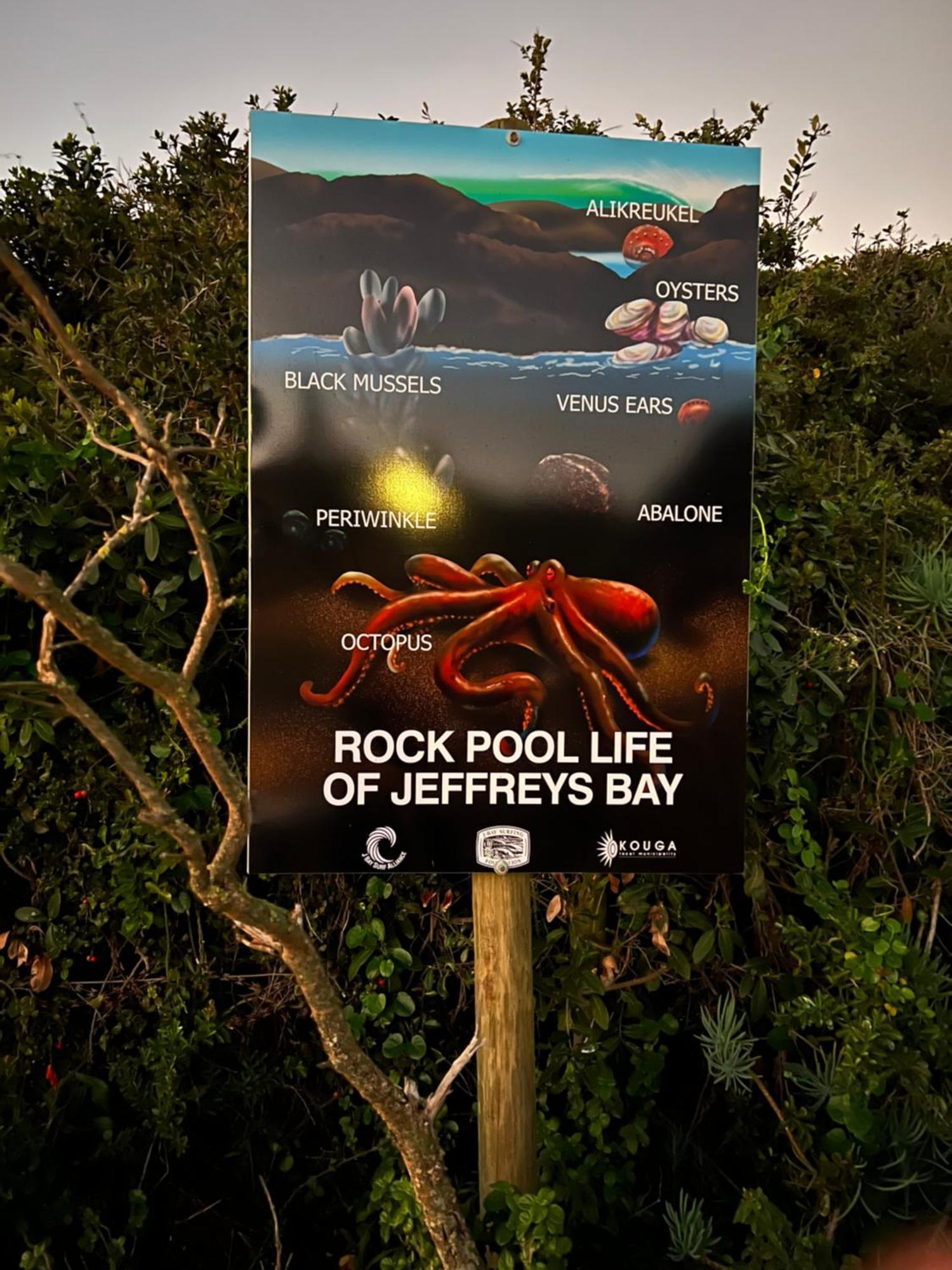 Apartamento Surfstar At Mimosa Jeffreys Bay Exterior foto