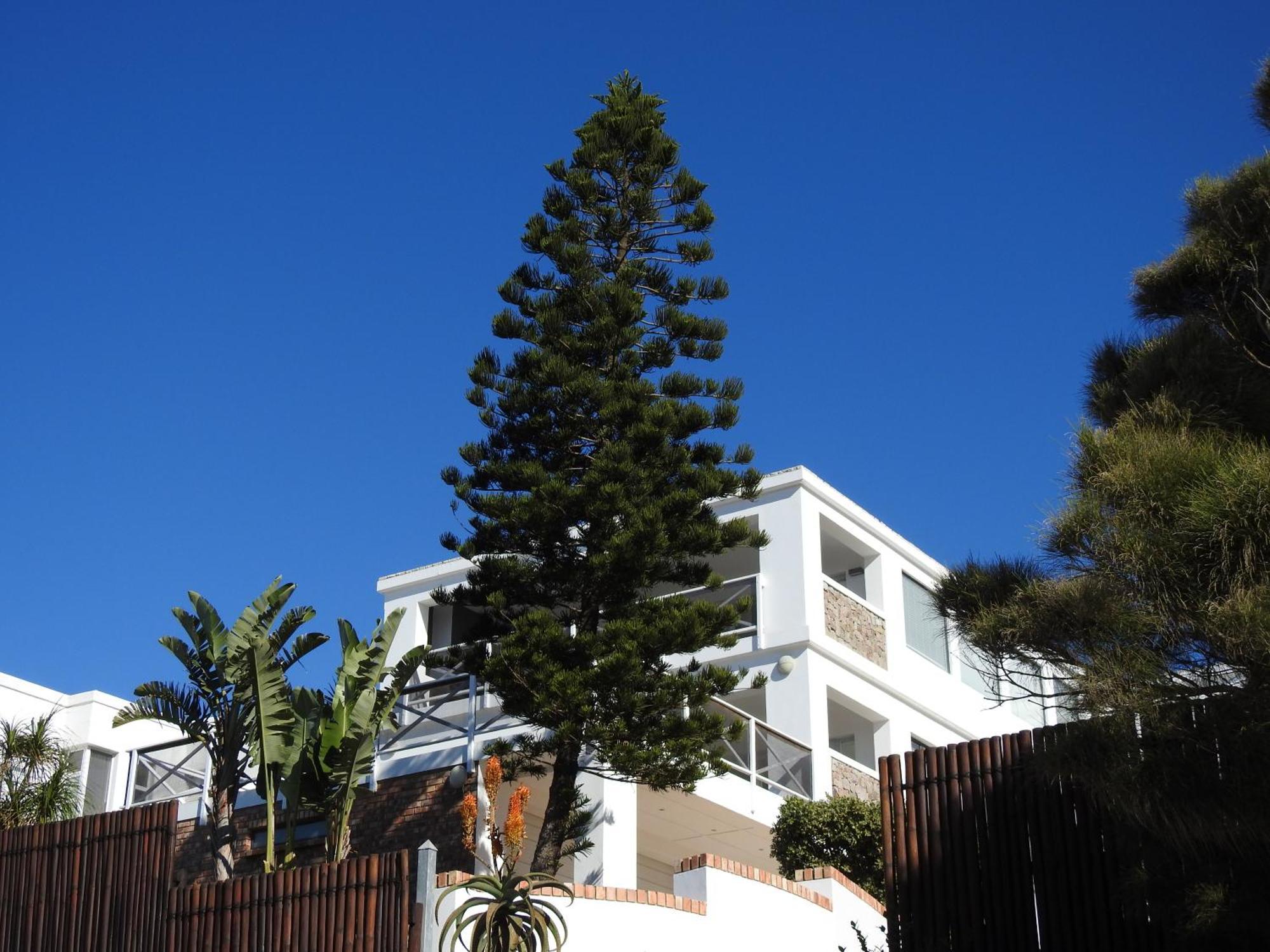 Apartamento Surfstar At Mimosa Jeffreys Bay Exterior foto